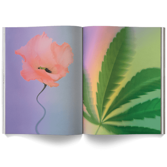 Broccoli Publications A Weed is a Flower