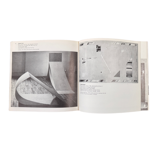 midnineteeneightynine-1975-Biennial-Exhibition-Contemporary-American-Art