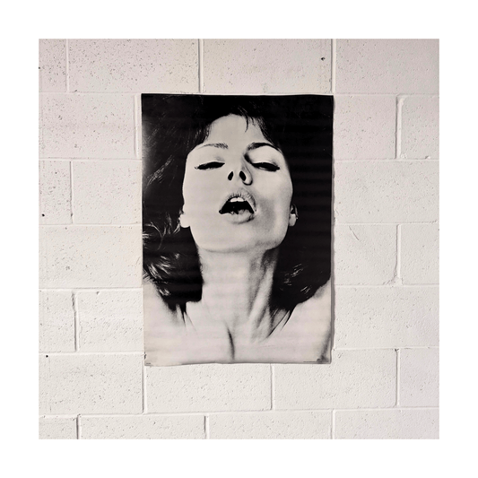 midnineteeneightynine Poster Mirror of Venus: Climax