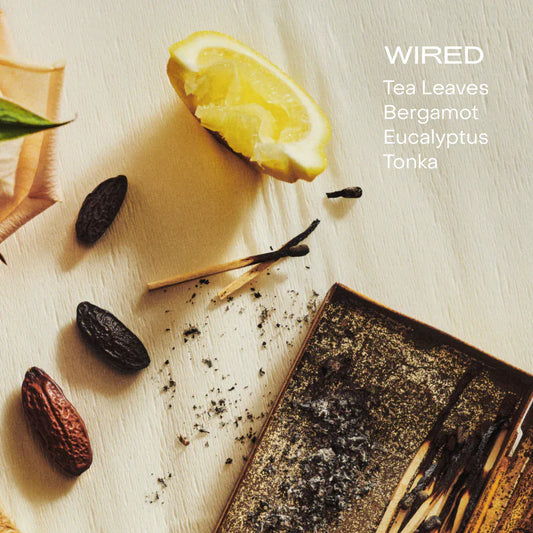 SIDIA Candle The Candle: WIRED