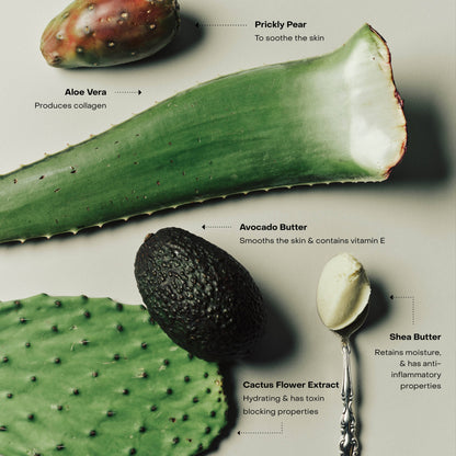 Illustration of aloe vera, avocado, cactus flower extract, and shea butter with text labels on a light background.