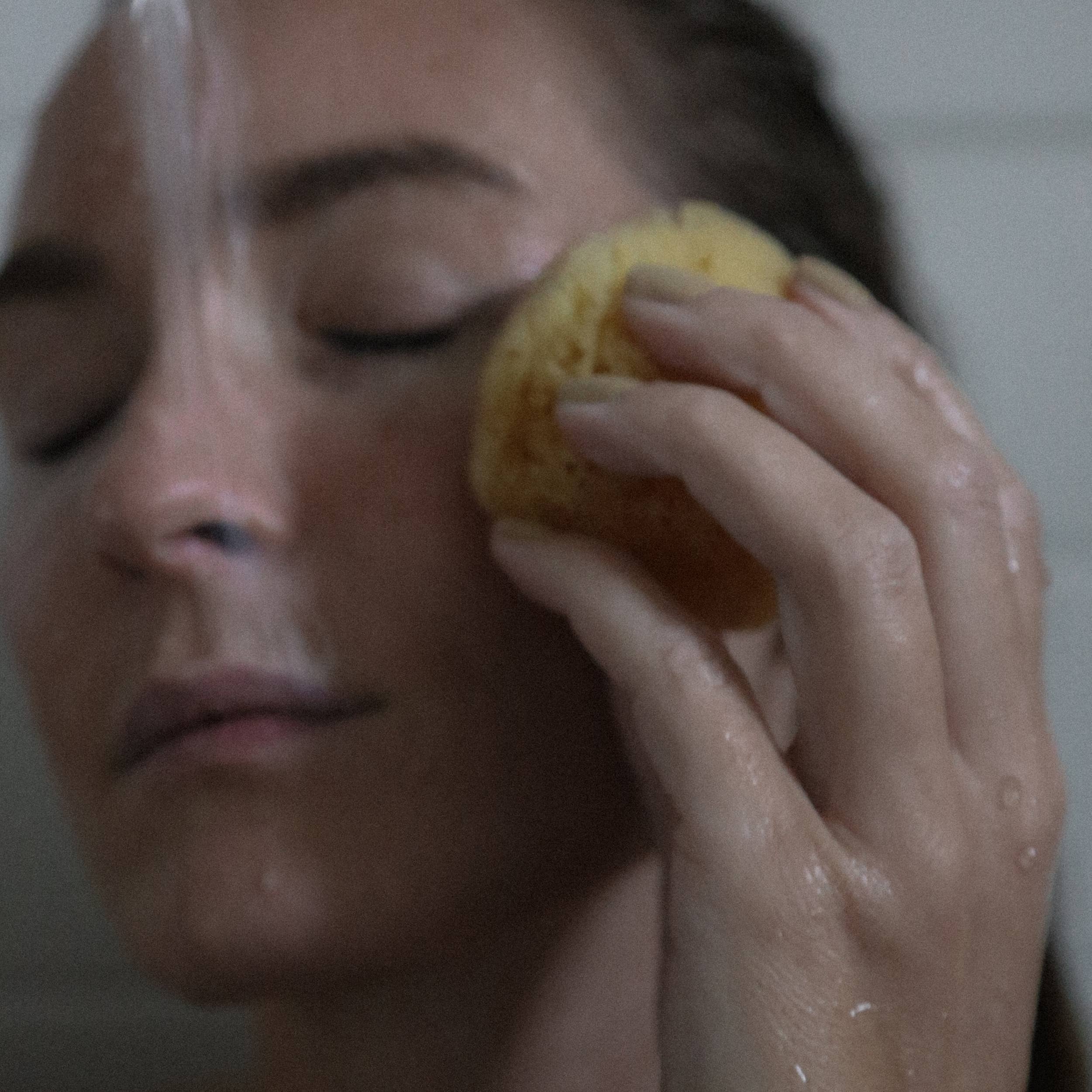 Silk Sea Sponge