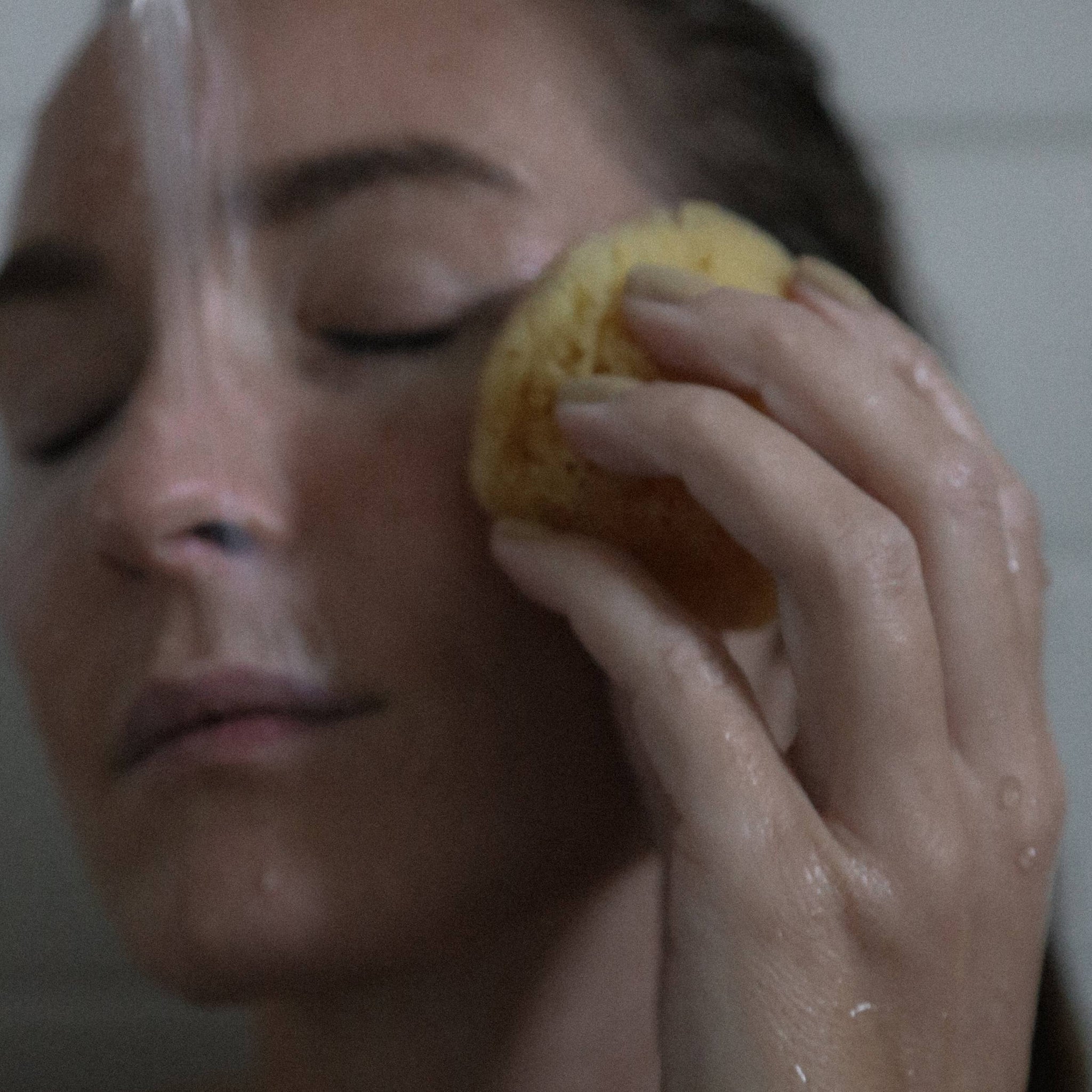 Silk Sea Sponge
