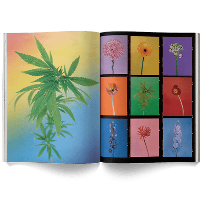 Broccoli Publications A Weed is a Flower