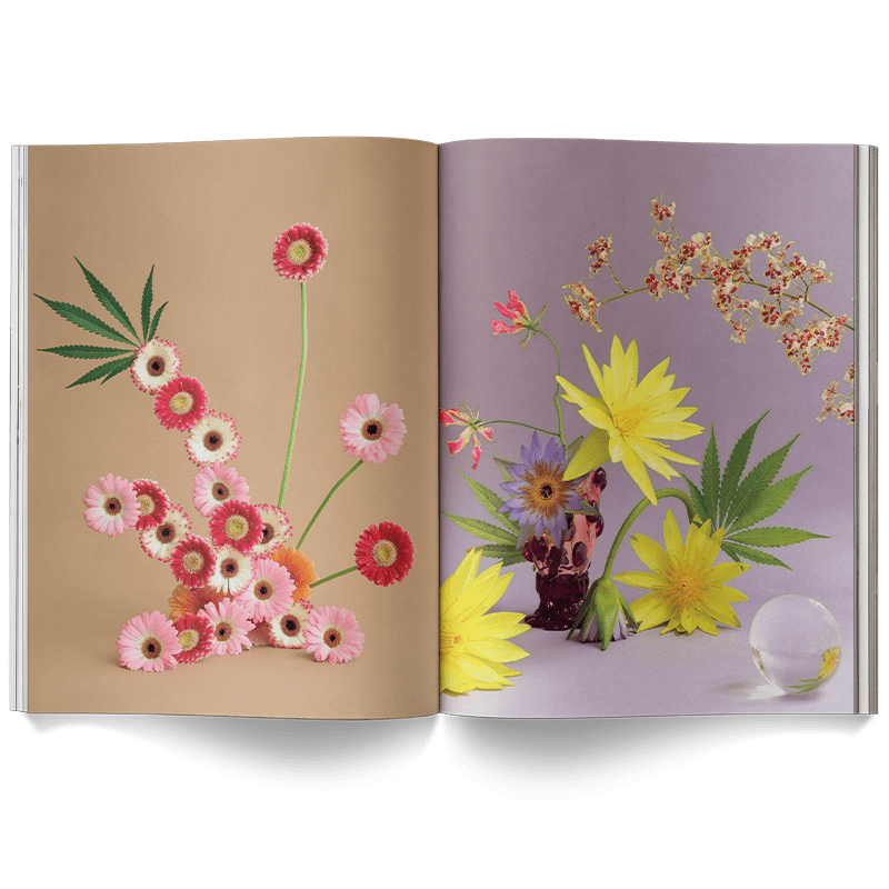 Broccoli Publications A Weed is a Flower