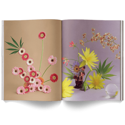 Broccoli Publications A Weed is a Flower