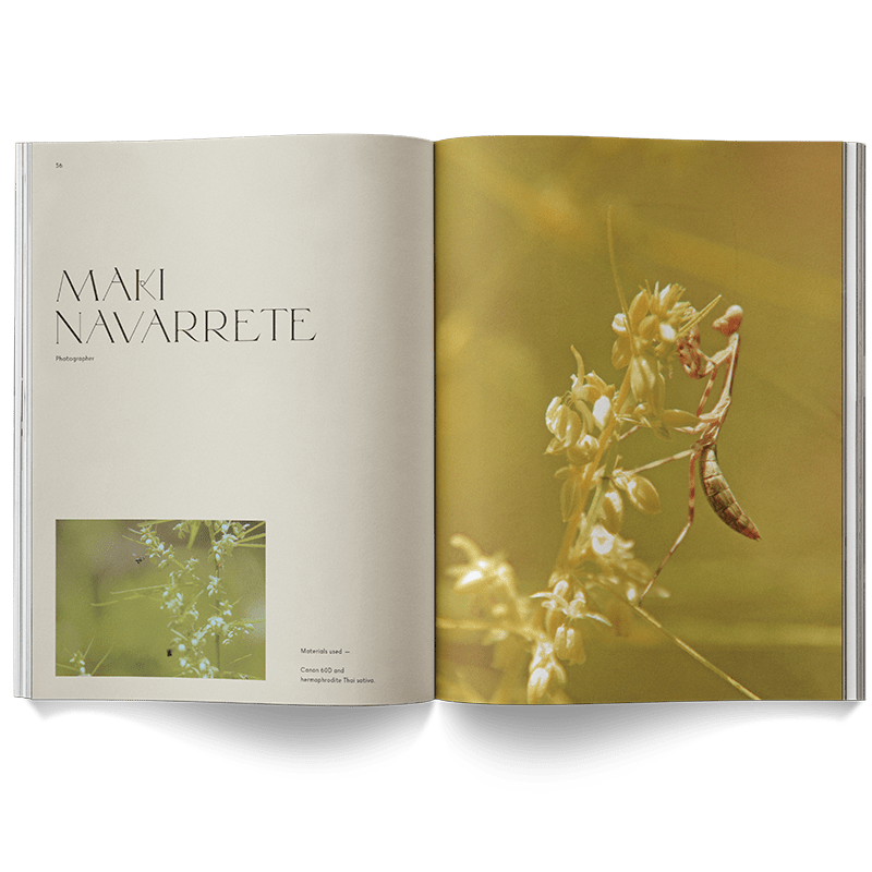 Broccoli Publications A Weed is a Flower