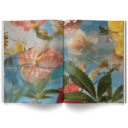 Broccoli Publications A Weed is a Flower