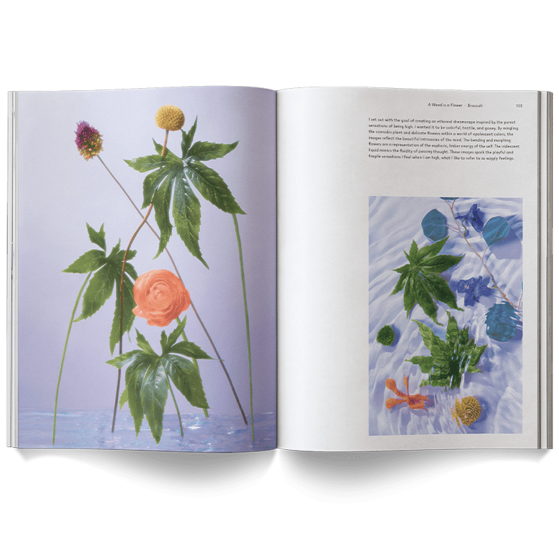 Broccoli Publications A Weed is a Flower
