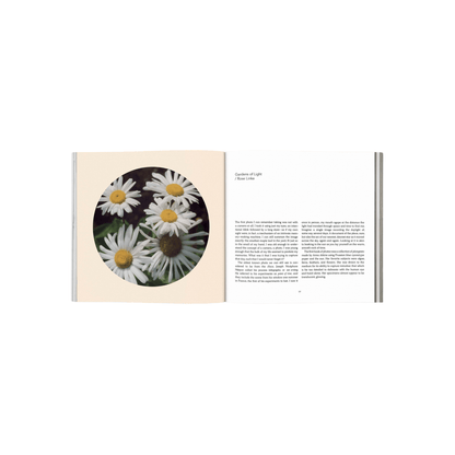 Broccoli Publications Forgotten Flowers