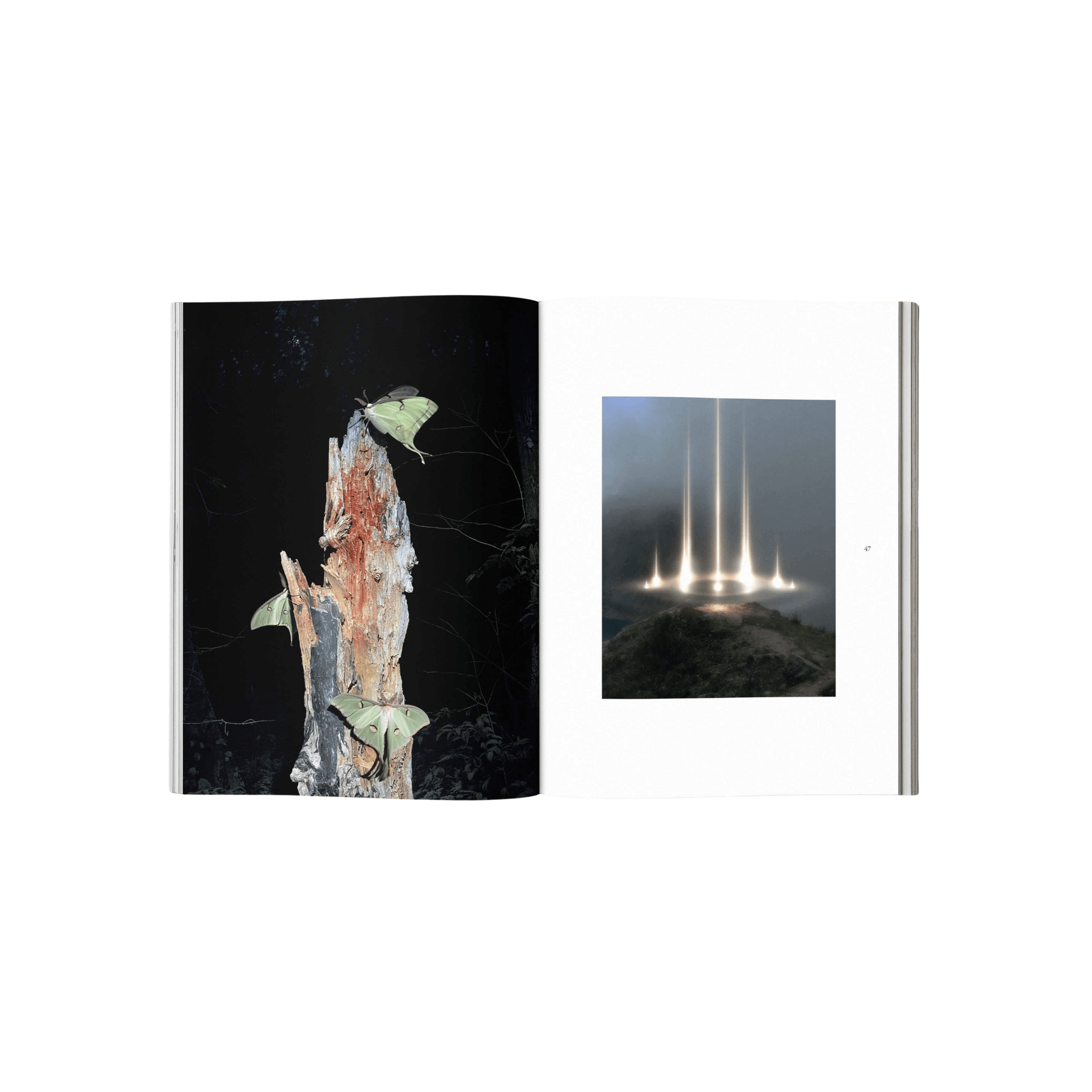 Broccoli Publications Inner Nature