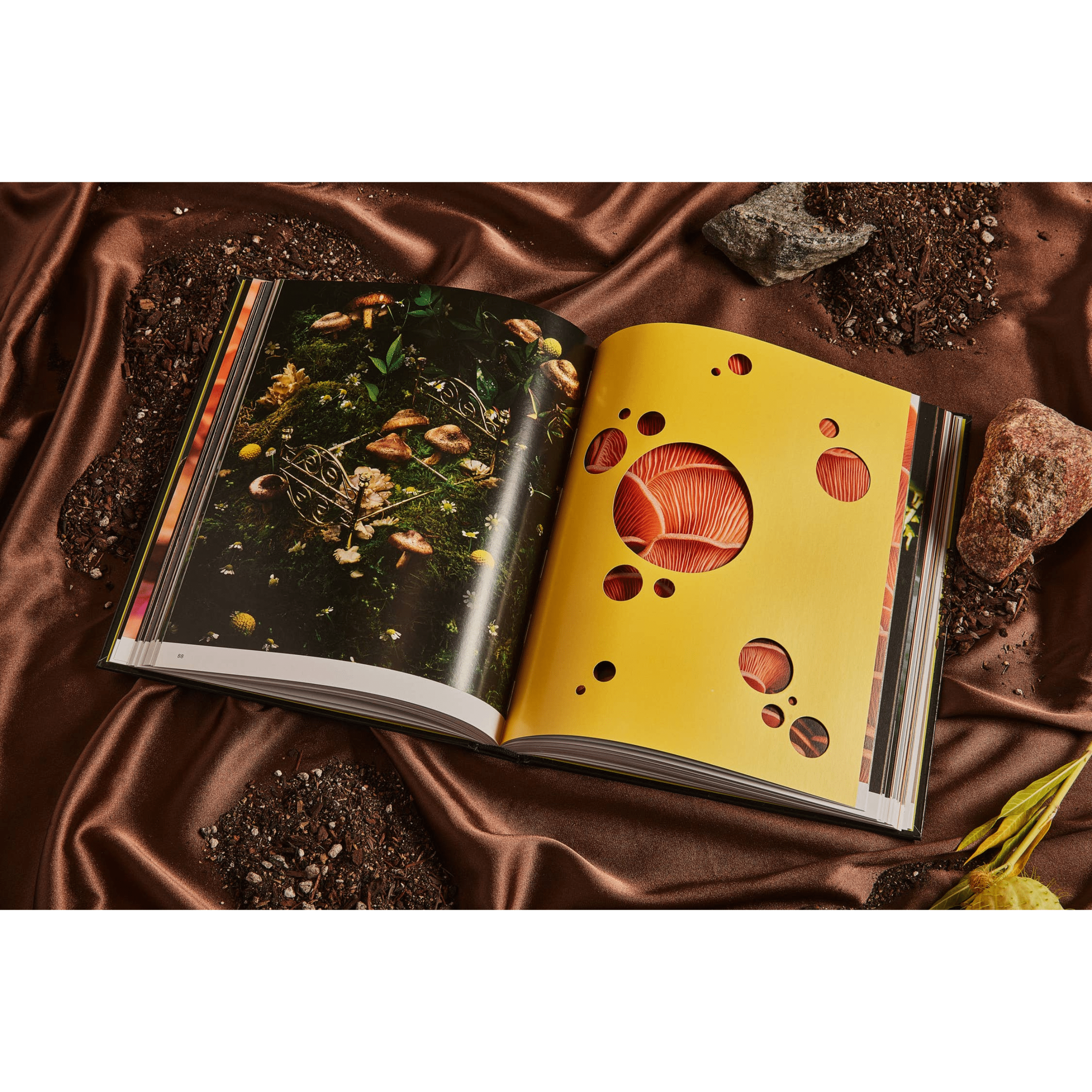 Broccoli Publications Spores