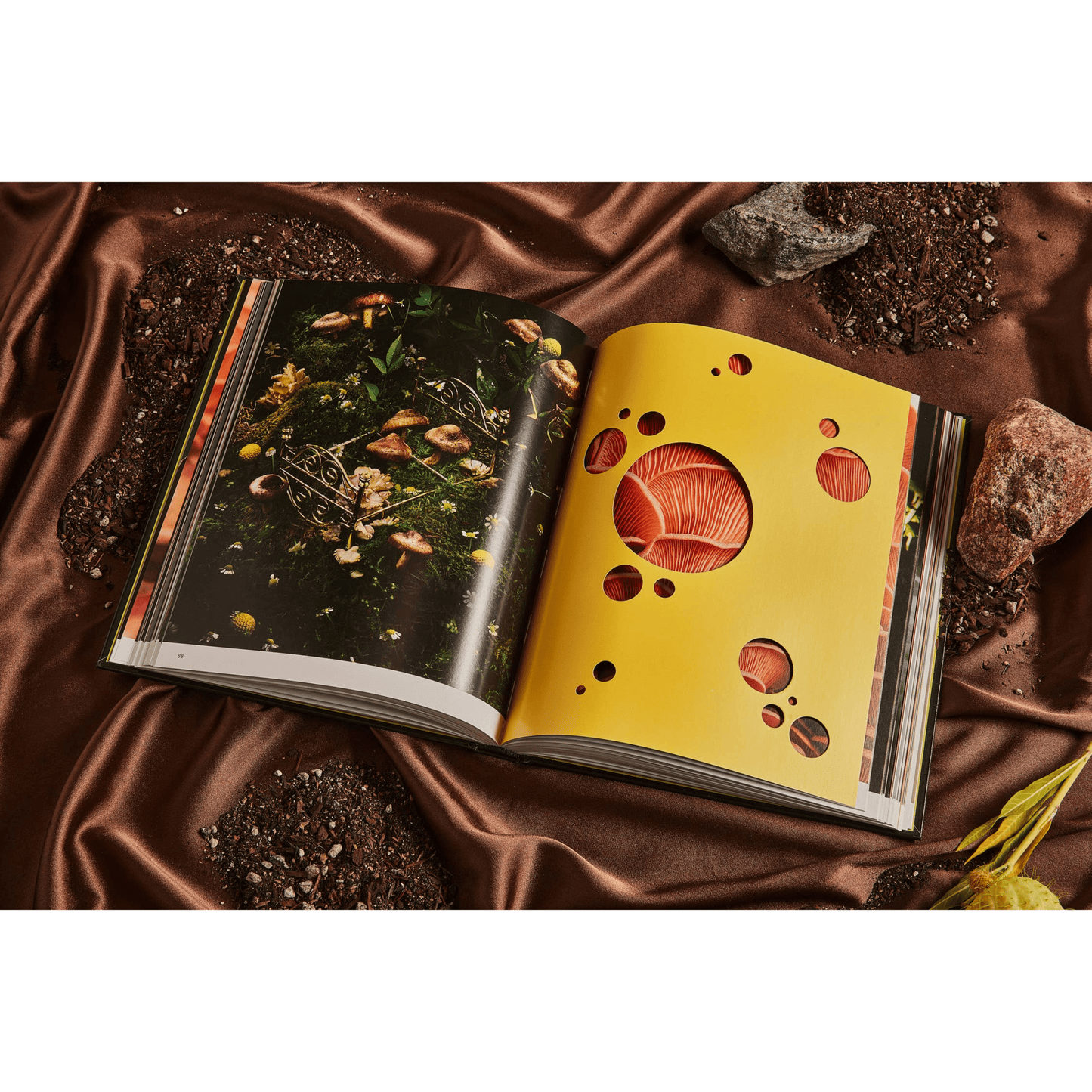 Broccoli Publications Spores