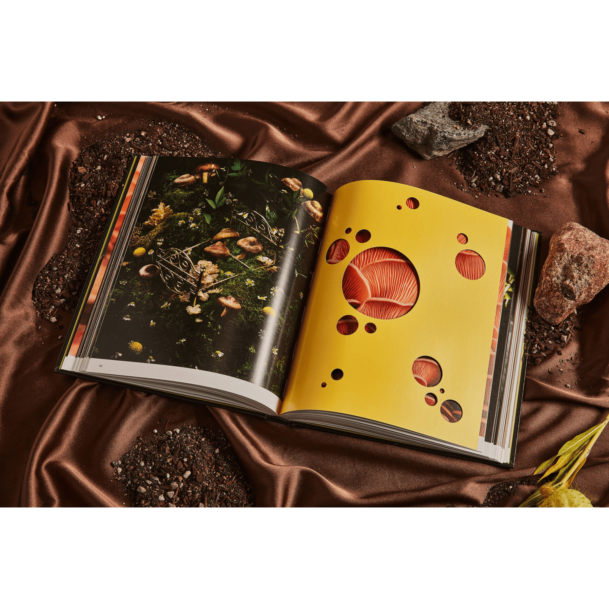 Broccoli Publications Spores