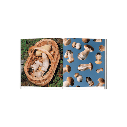 Broccoli Publications Spores