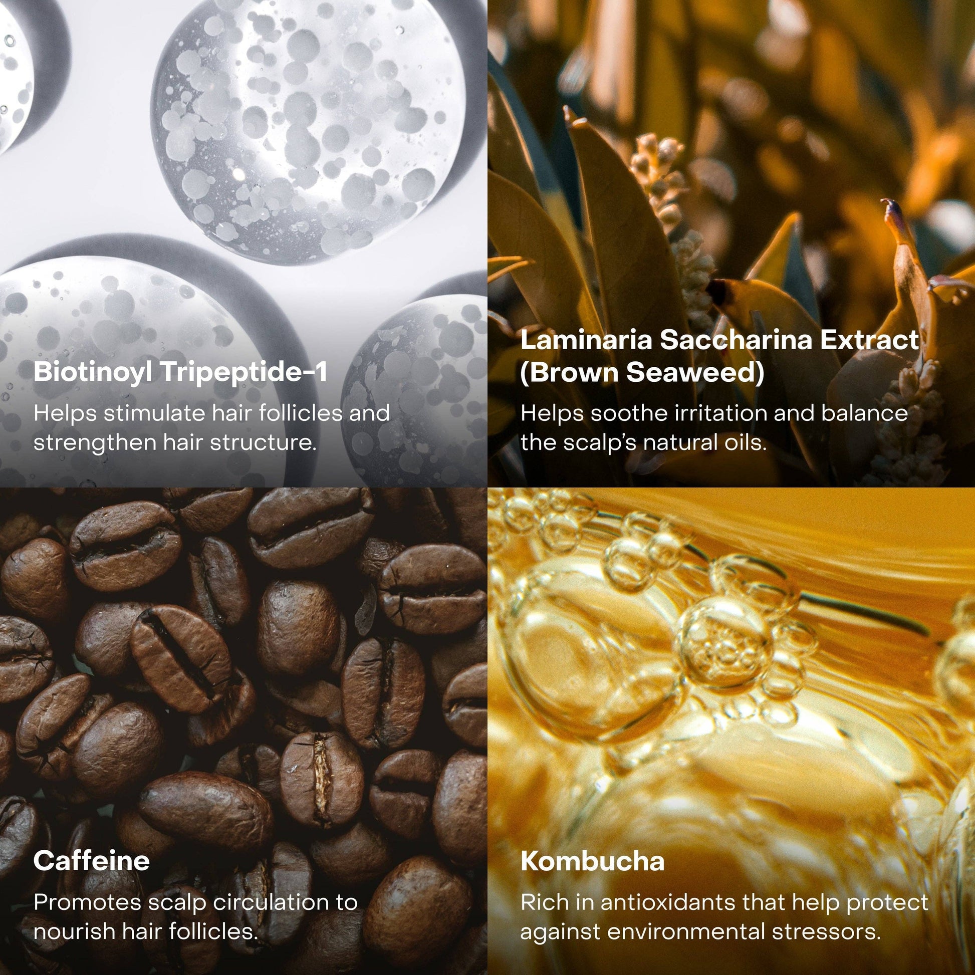 Everist EverBoost Multi-Peptide Scalp Serum