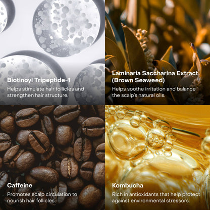 Everist EverBoost Multi-Peptide Scalp Serum