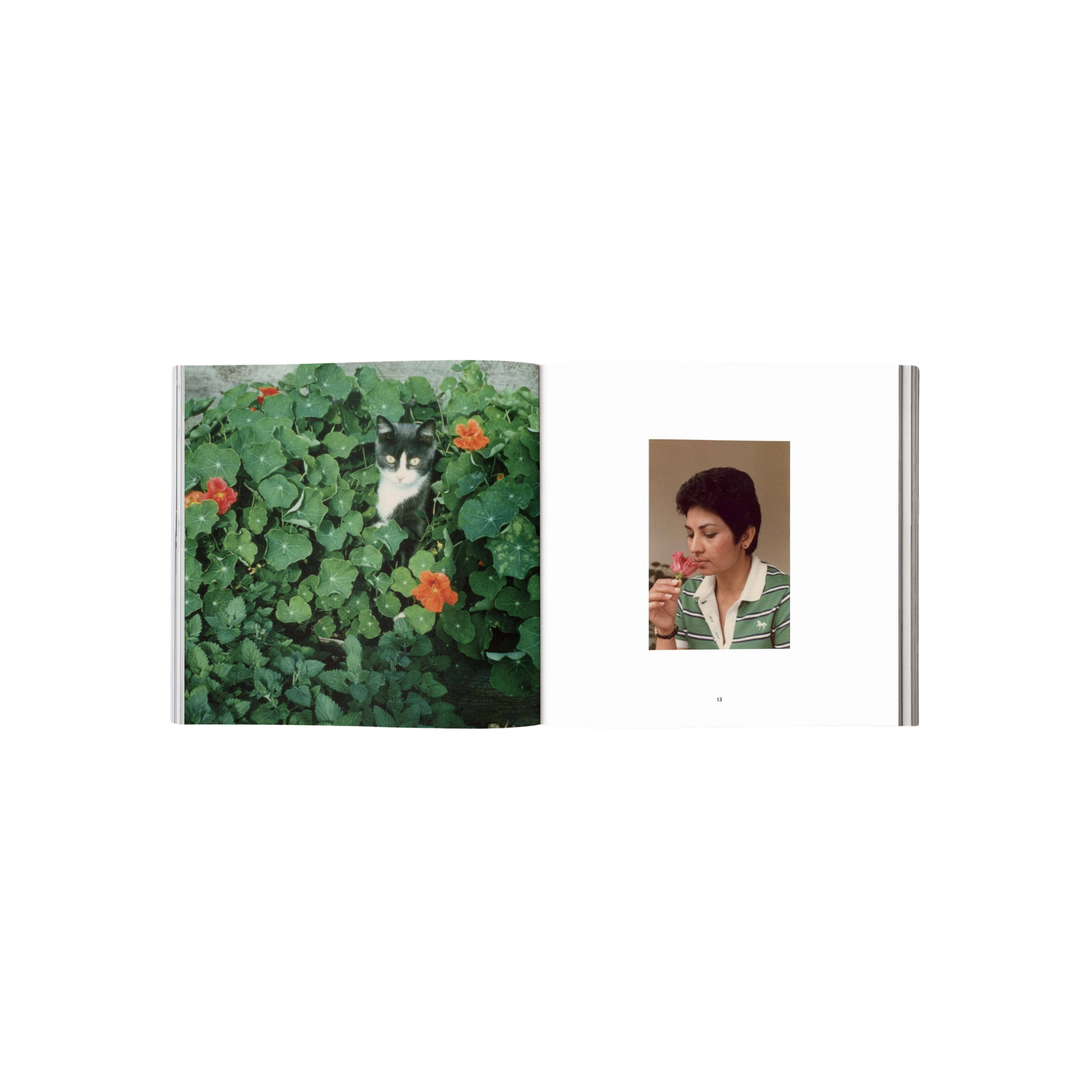 Forgotten Flowers