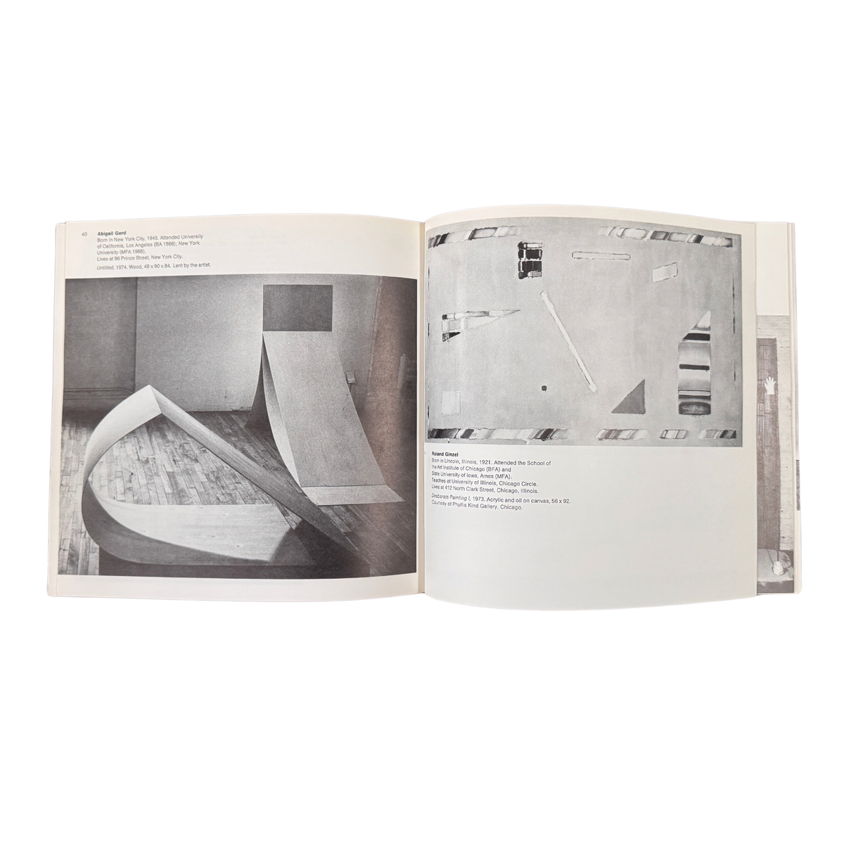 midnineteeneightynine-1975-Biennial-Exhibition-Contemporary-American-Art