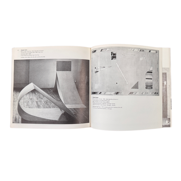 midnineteeneightynine-1975-Biennial-Exhibition-Contemporary-American-Art
