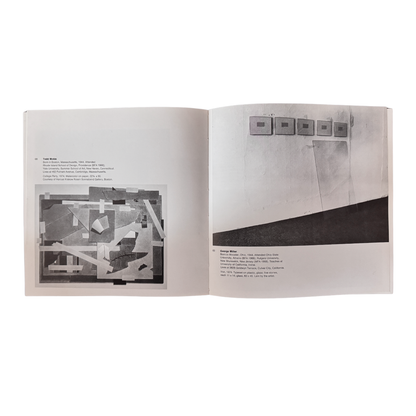 midnineteeneightynine-1975-Biennial-Exhibition-Contemporary-American-Art