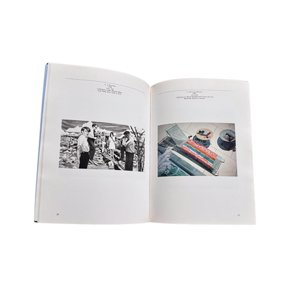 Eric Fischl Paintings 1985 book