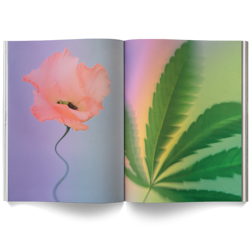 A Weed is a Flower
