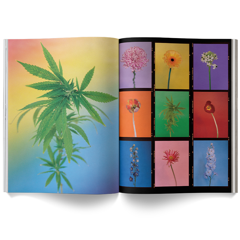 A Weed is a Flower