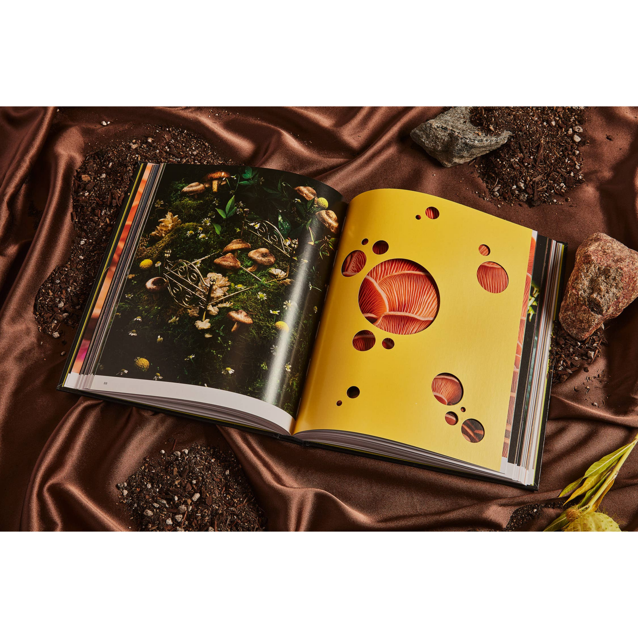 Spores