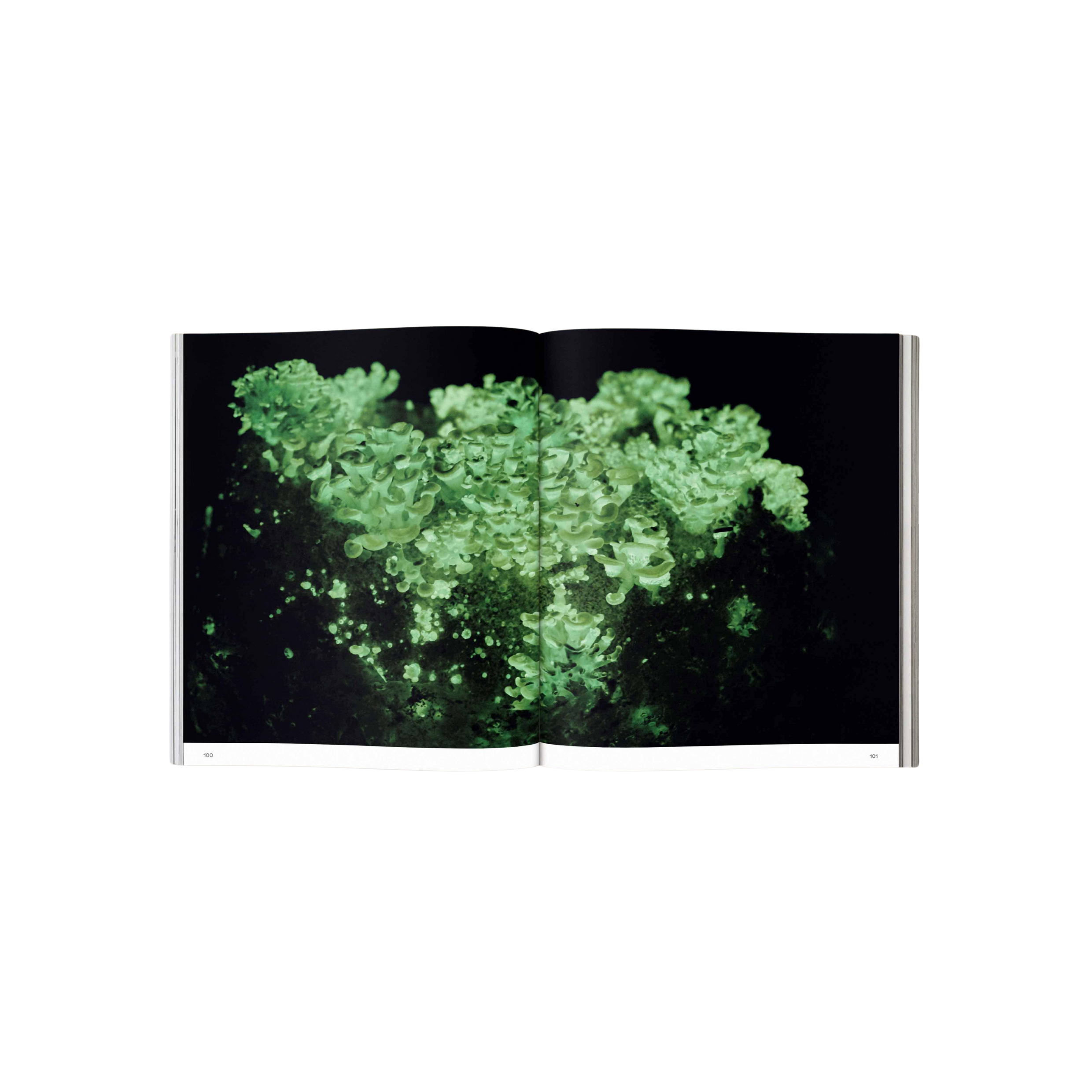 Spores