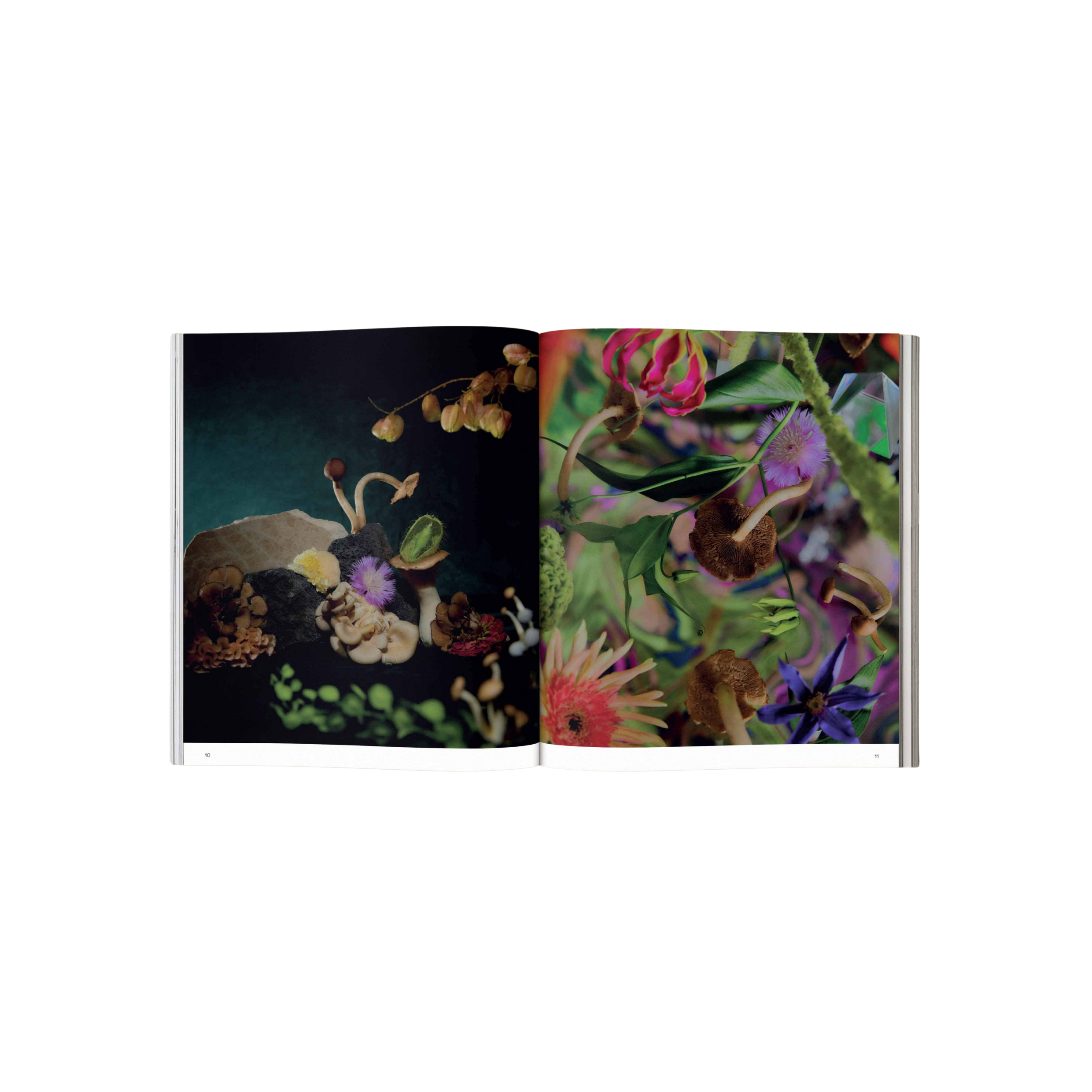 Spores