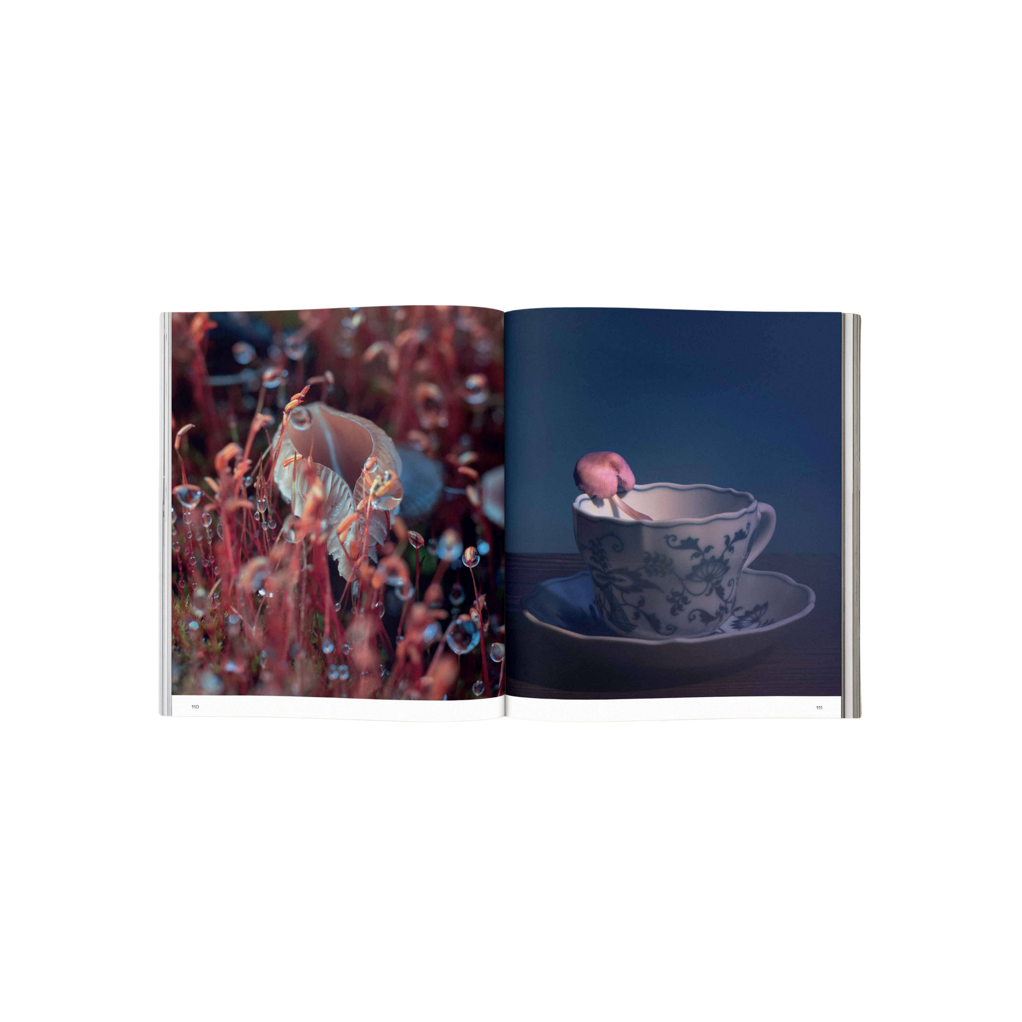 Spores