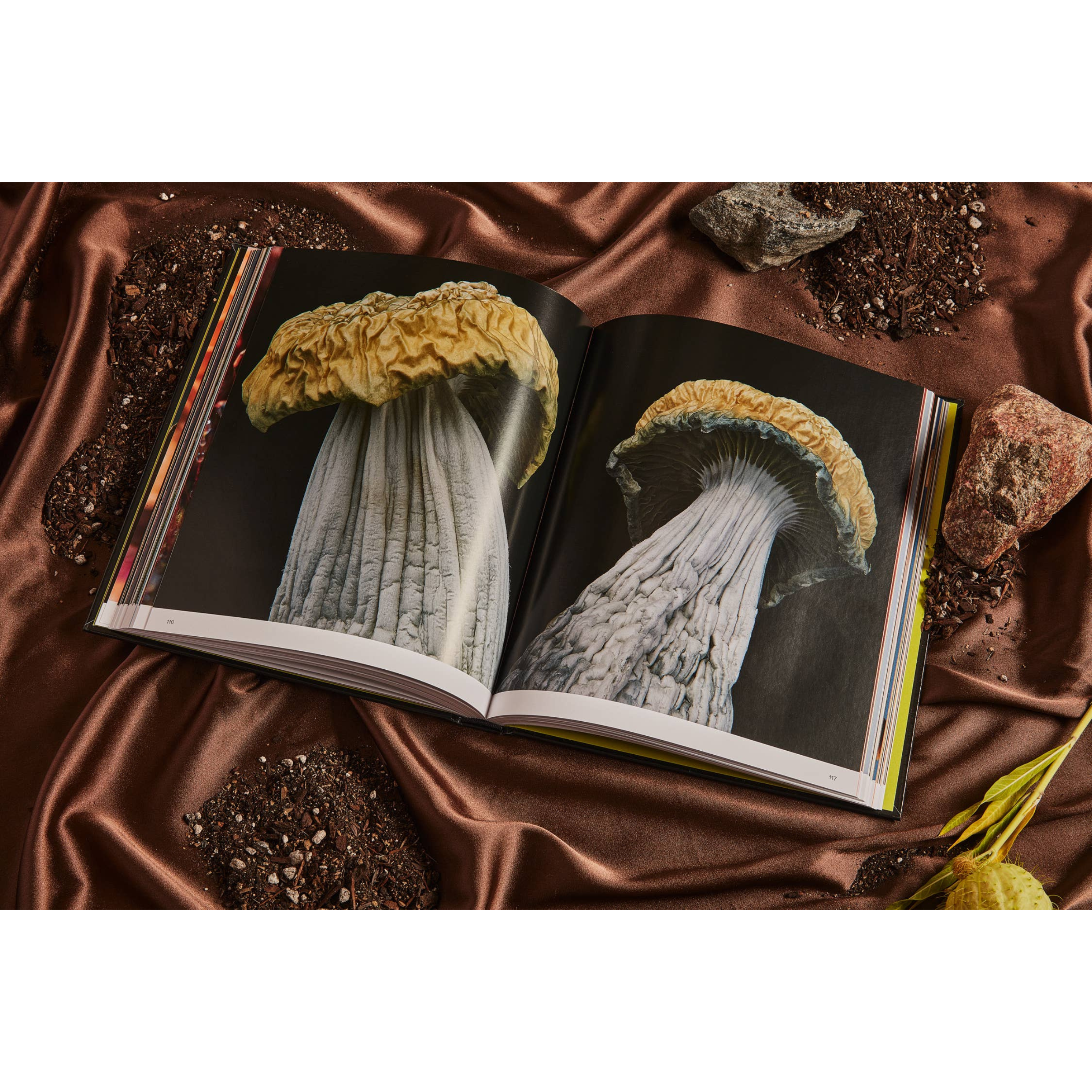 Spores