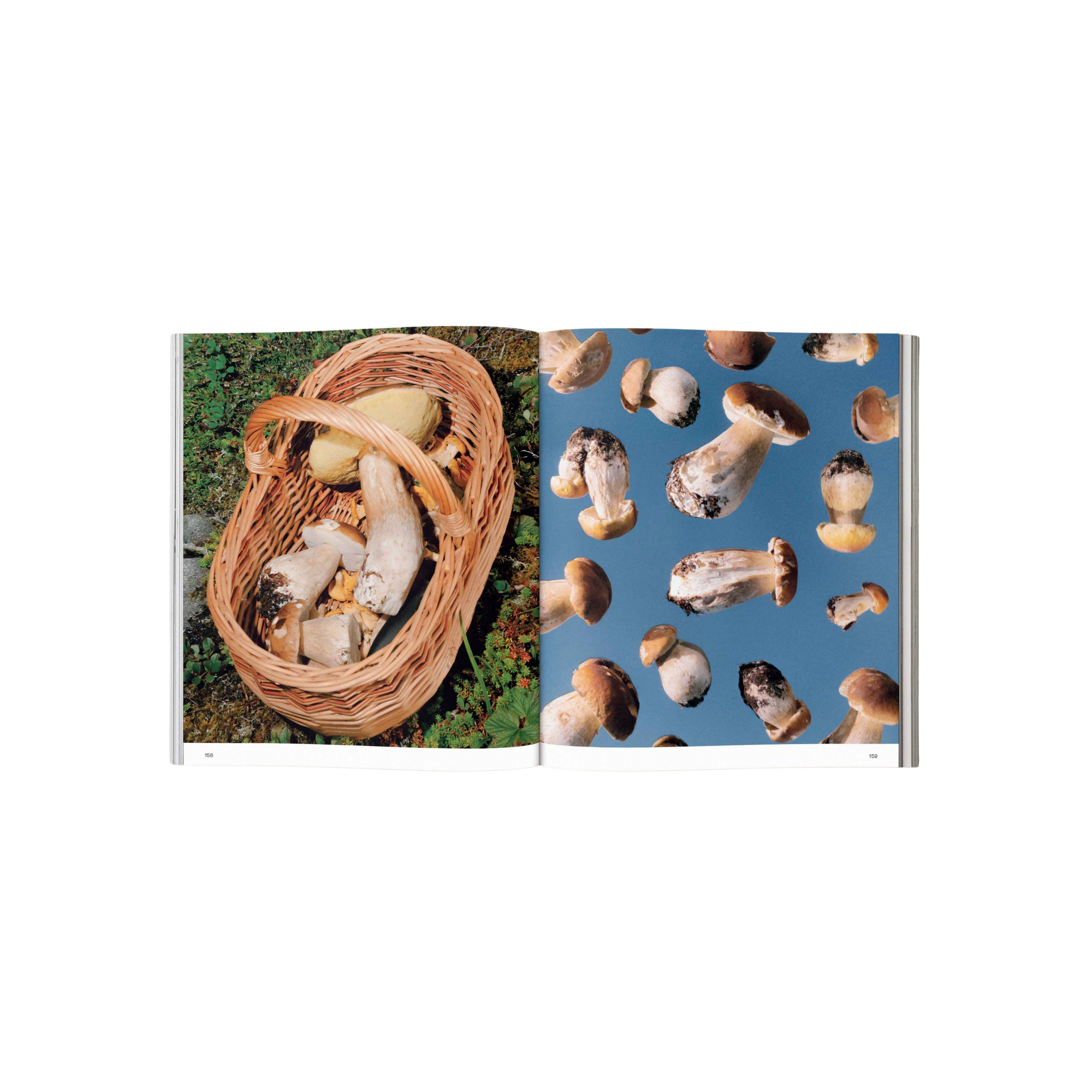 Spores
