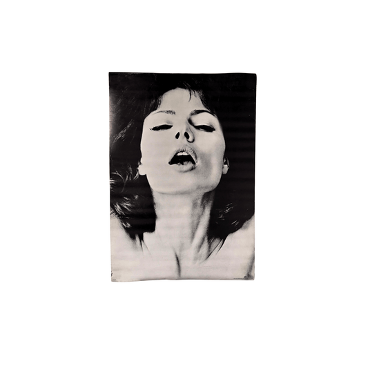 midnineteeneightynine Poster Mirror of Venus: Climax