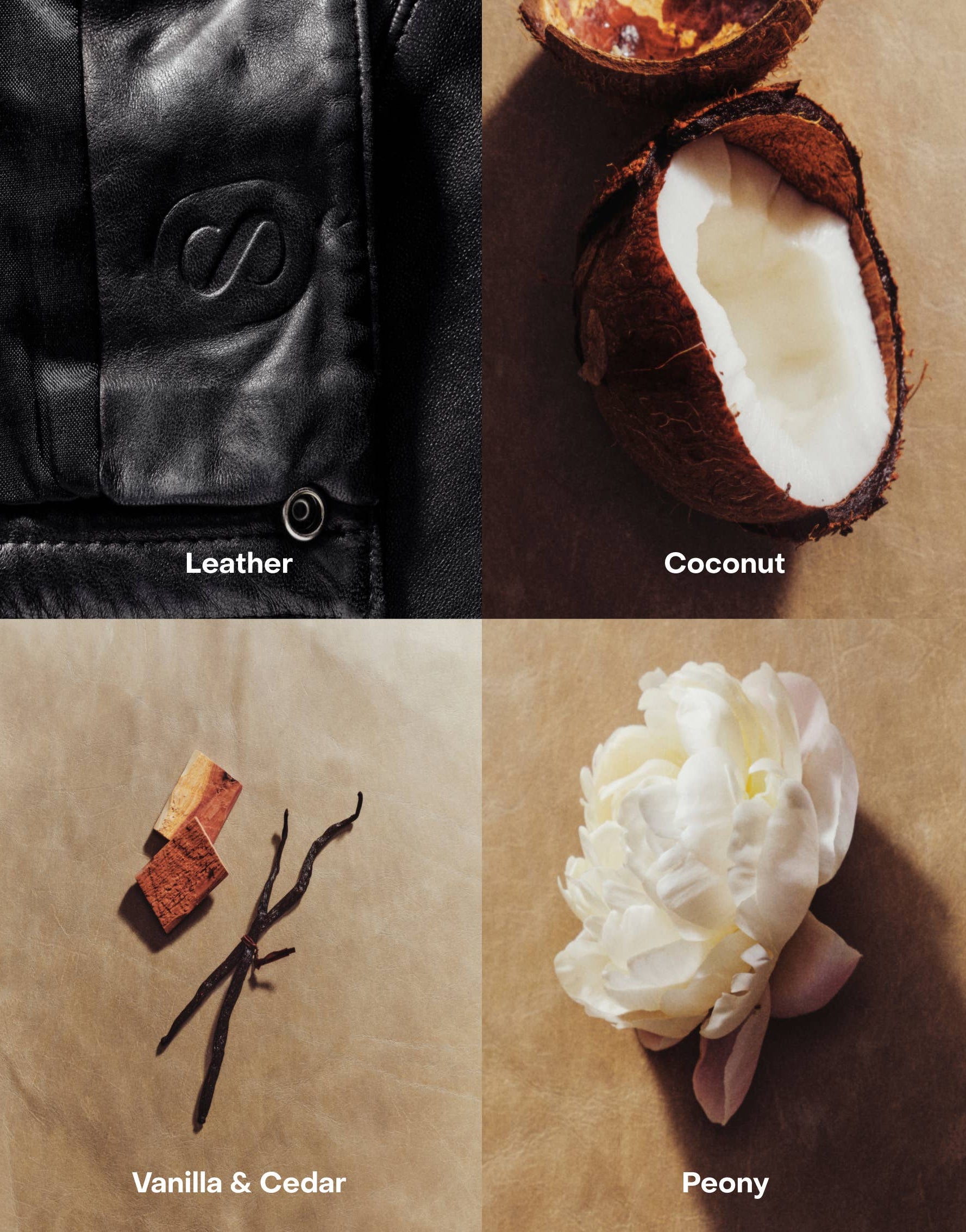 SIDIA The Body Mist: BRALESS ingredients