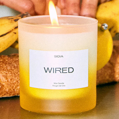 SIDIA Candle The Candle: WIRED