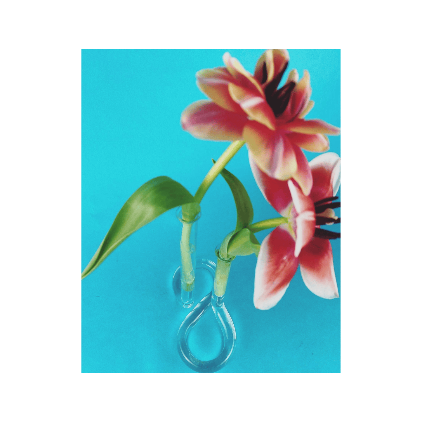 VIISIIONSS Double Twist Vase