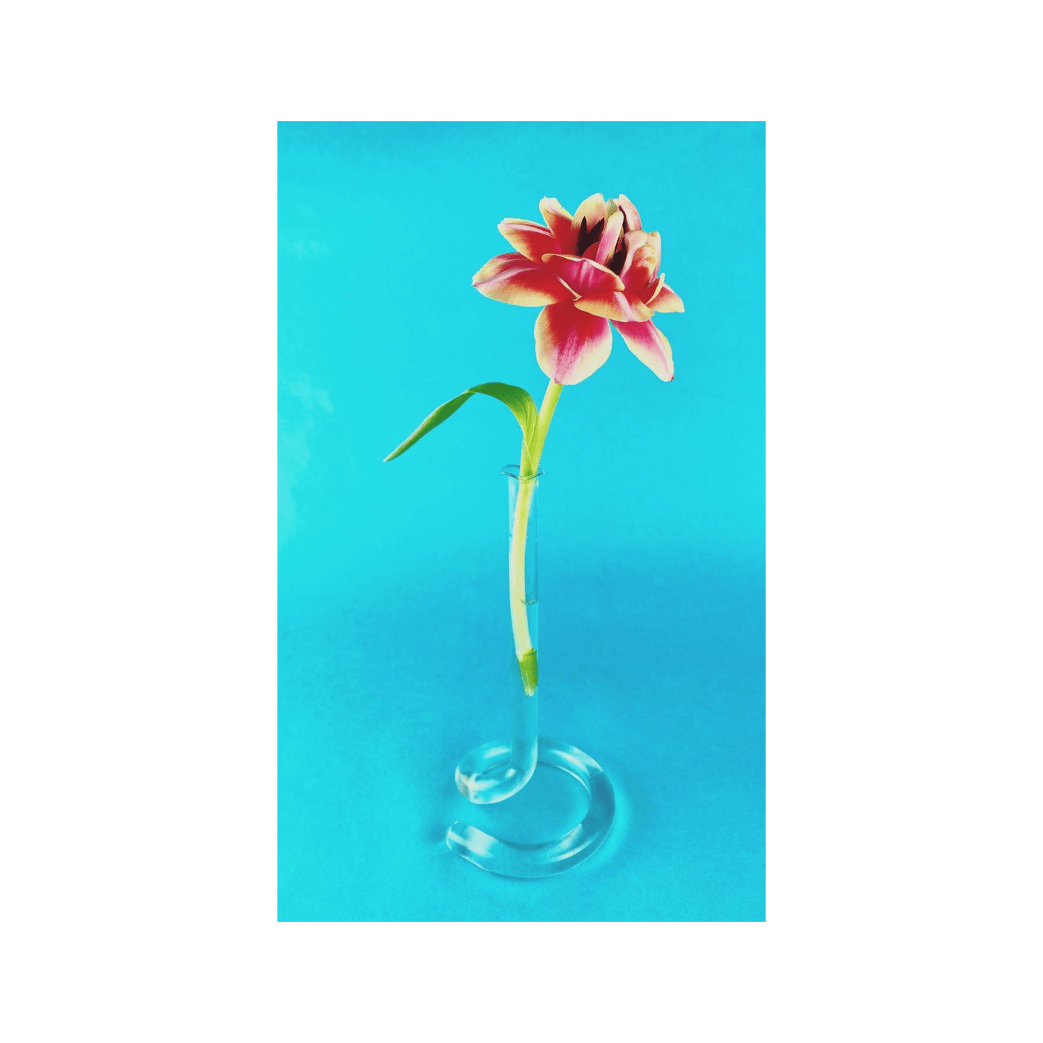 VIISIIONSS Vase Single Twist Vase