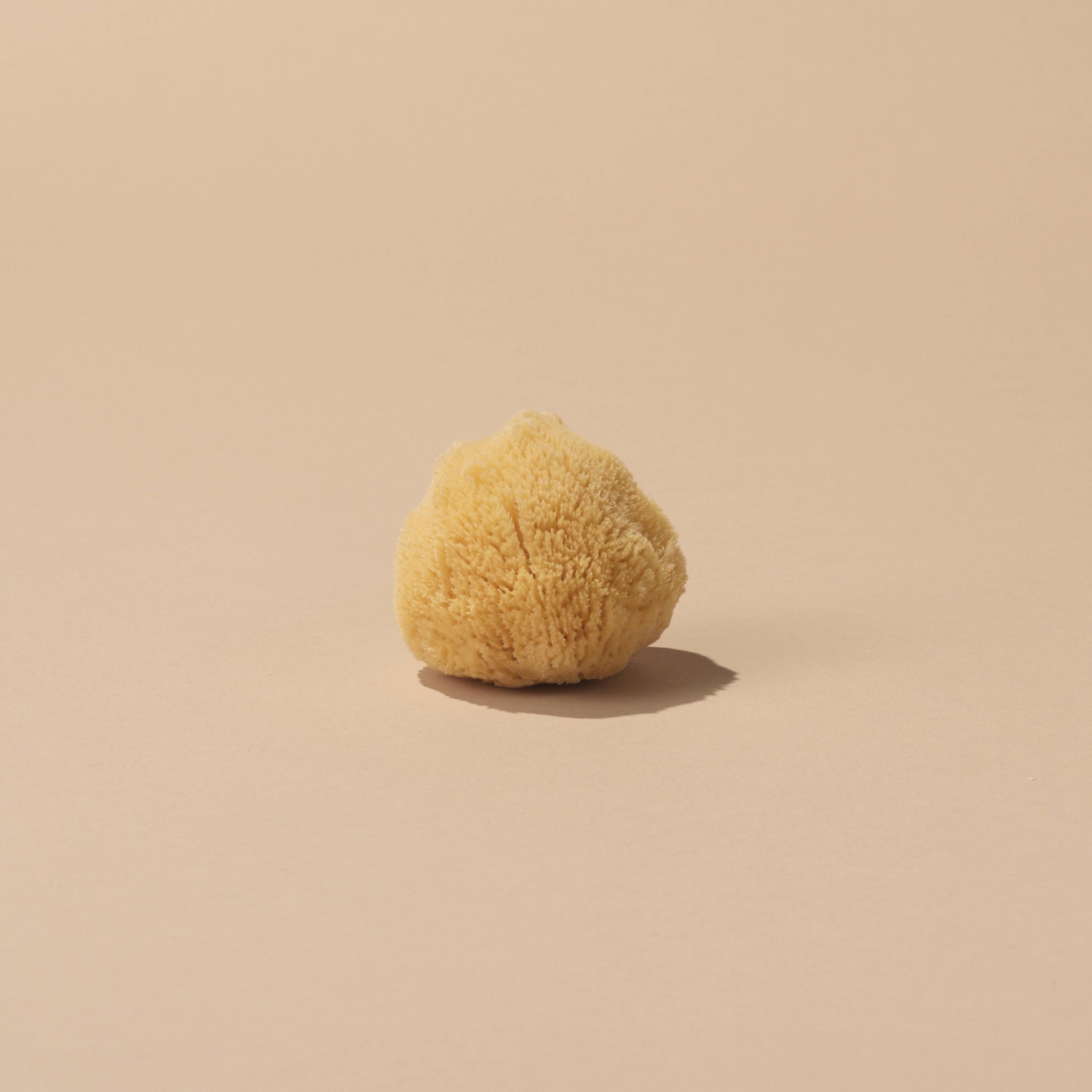 Well Kept Essentiels Silk Sea Sponge