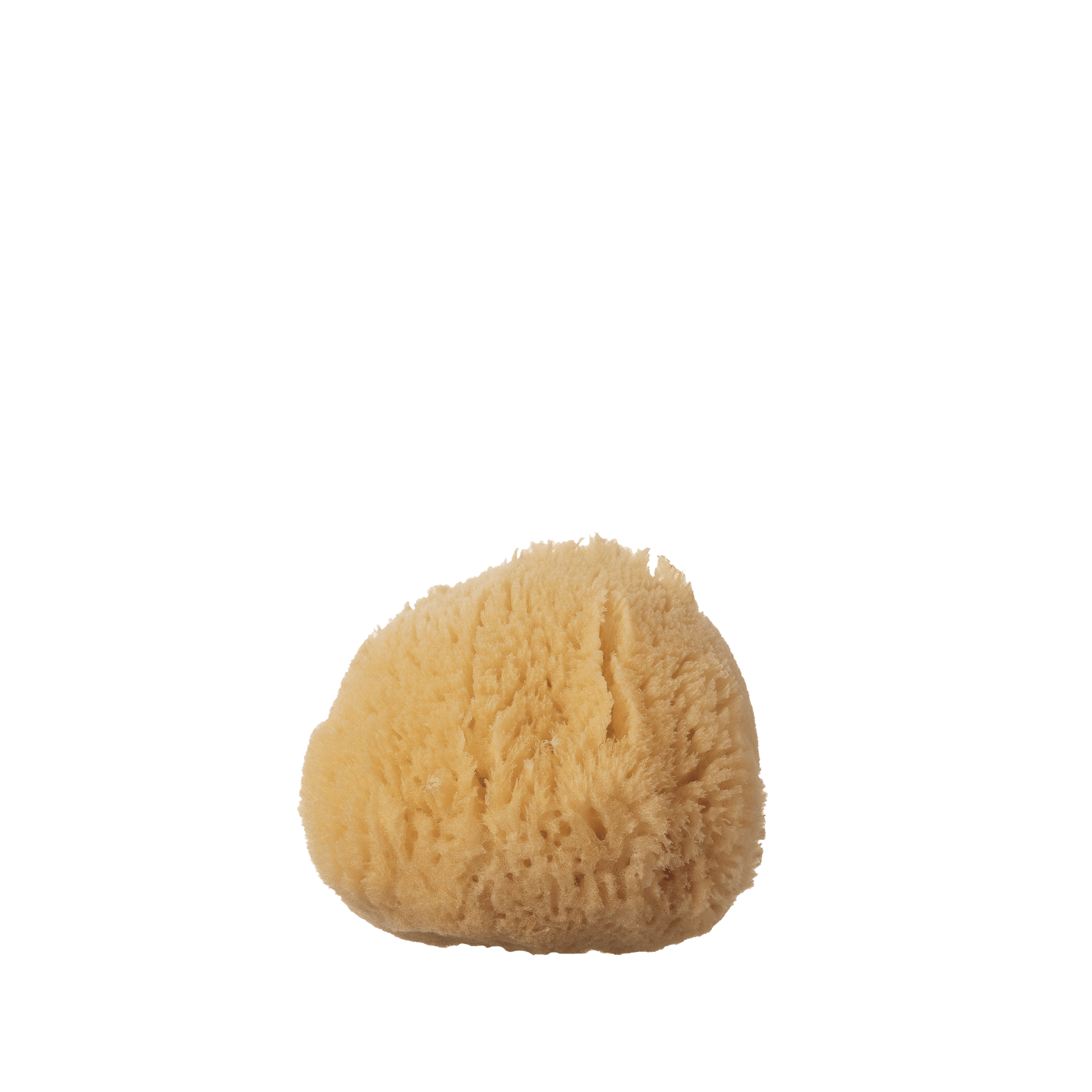Well Kept Essentiels Silk Sea Sponge