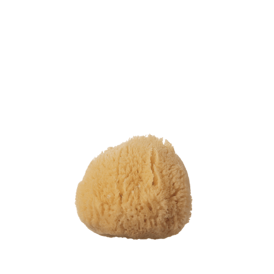 Well Kept Essentiels Silk Sea Sponge